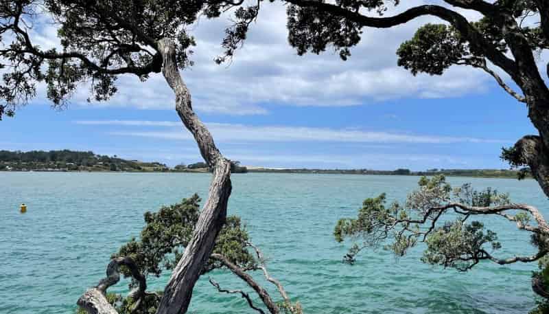 Lot 11 William Gilbert Drive, Mangawhai