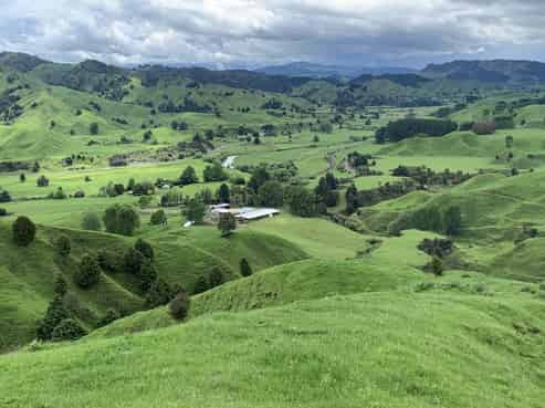 987 Ongarue Back Road, Waimiha-Ongarue