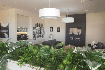 Corner CBD Site With National Tenant