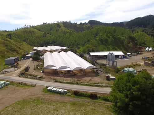 859 Russell Road, Hikurangi