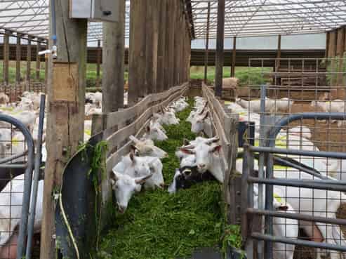 859 Russell Road, Hikurangi