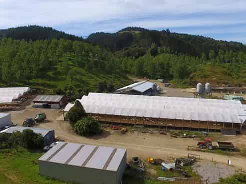 859 Russell Road, Hikurangi