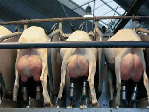 859 Russell Road, Hikurangi