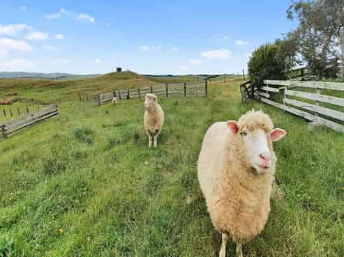 826 Ruakiwi Road, Te Akau