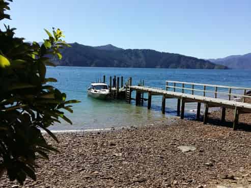  Driftwood Bay, Arapawa Island, 