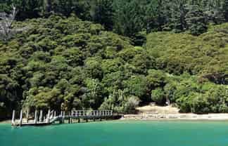  Driftwood Bay, Arapawa Island, 