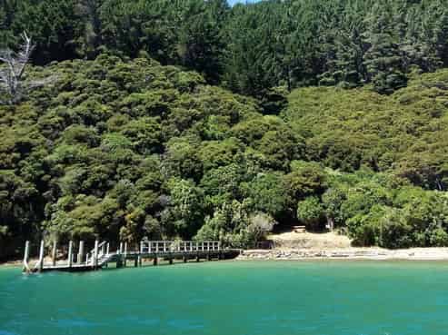  Driftwood Bay, Arapawa Island, 