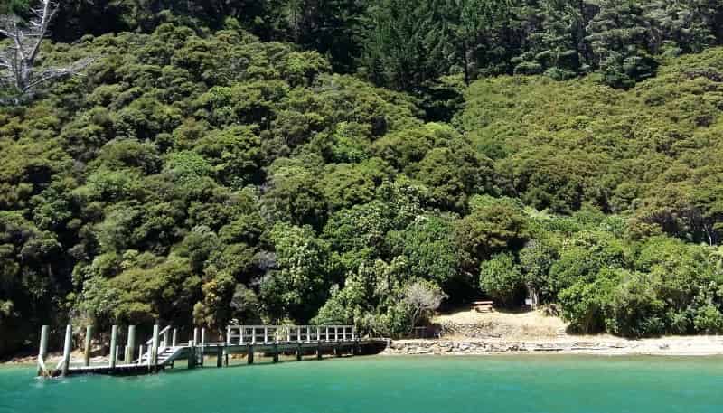  Driftwood Bay, Arapawa Island, 