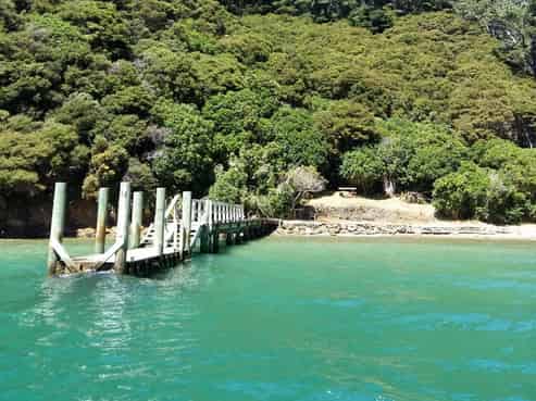  Driftwood Bay, Arapawa Island, 