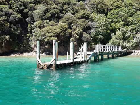  Driftwood Bay, Arapawa Island, 