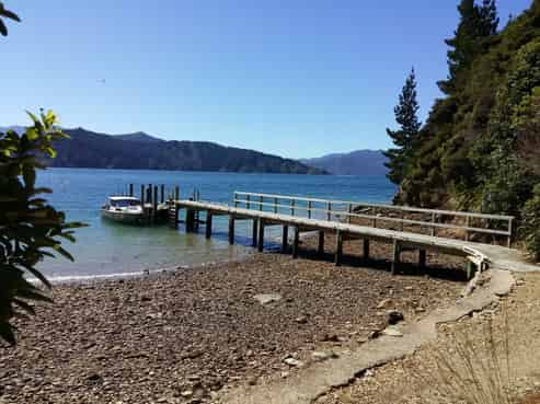  Driftwood Bay, Arapawa Island, 