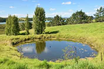 1 Matahehe Lane, Tinopai