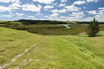 1 Matahehe Lane, Tinopai