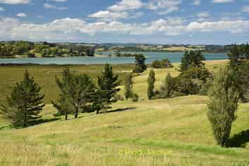 1 Matahehe Lane, Tinopai