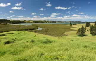 1 Matahehe Lane, Tinopai