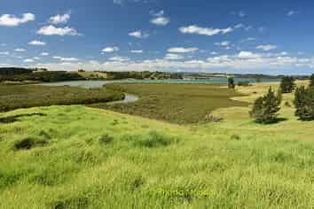 1 Matahehe Lane, Tinopai