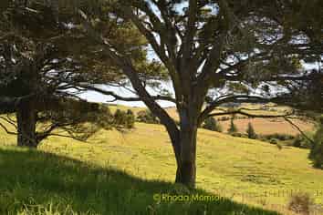 1 Matahehe Lane, Tinopai