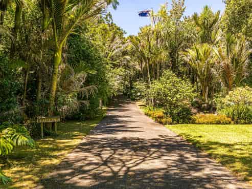 15 Fern Glen Road South, Saint Heliers
