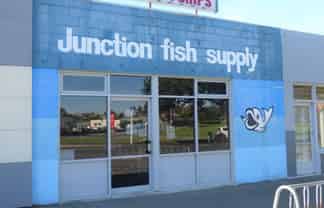 Junction Fish Supply - Business Only