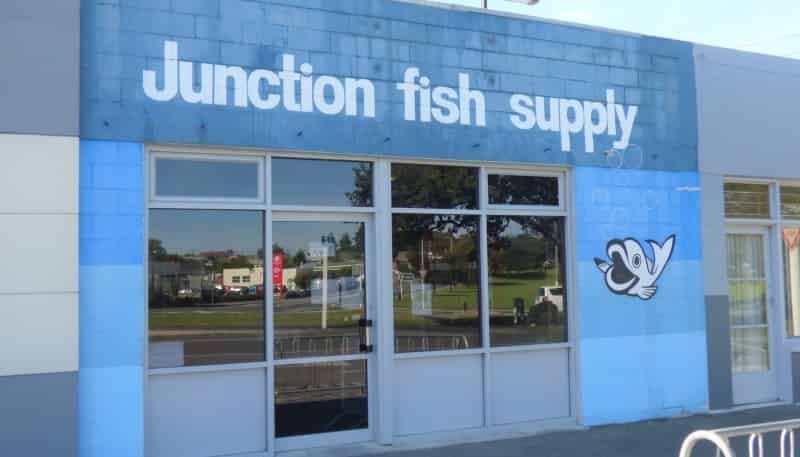 17B Towey Street, Oamaru