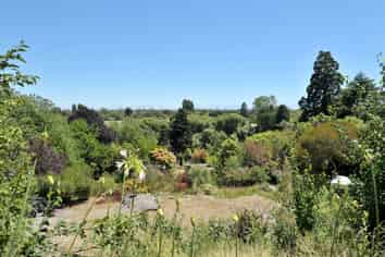 341/341A Centaurus Road, Hillsborough