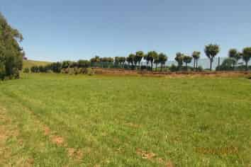 202 Turuturu Road, Hawera