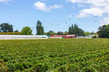 313 State Highway 3, Westmere