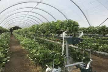 313 State Highway 3, Westmere