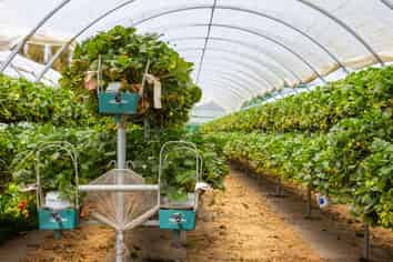 Solid investment with scope for growth