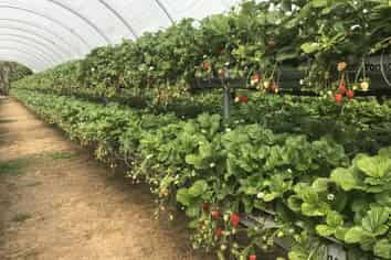 Solid investment with scope for growth