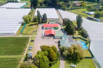 Solid investment with scope for growth