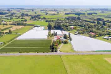 Solid investment with scope for growth