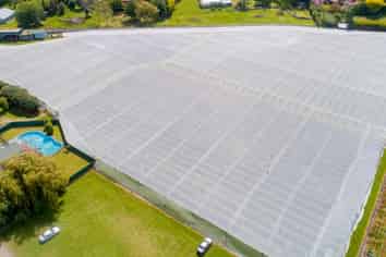 Solid investment with scope for growth