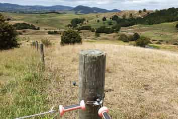 121 Whakapirau Road, Maungaturoto