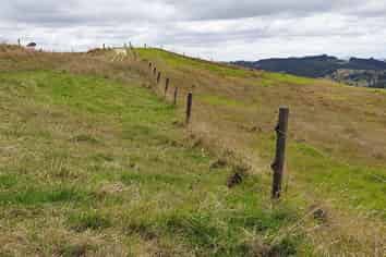 121 Whakapirau Road, Maungaturoto