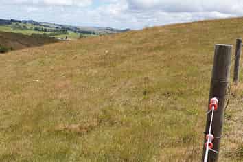 121 Whakapirau Road, Maungaturoto