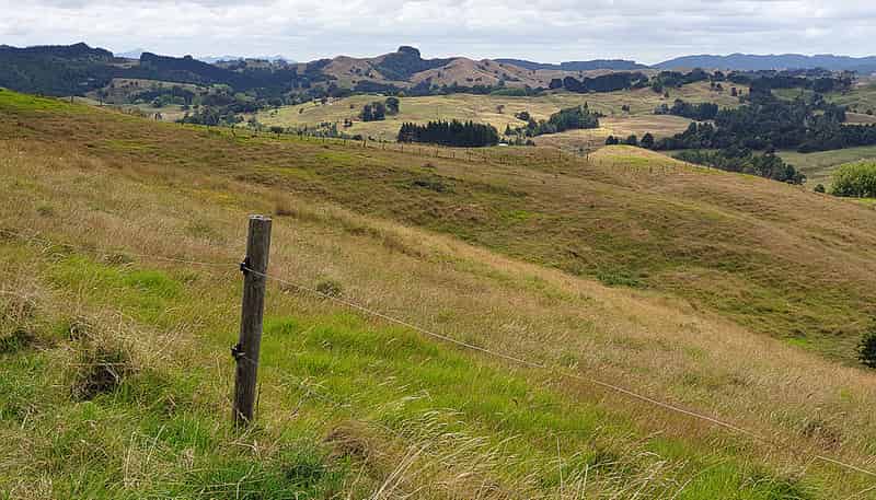 121 Whakapirau Road, Maungaturoto