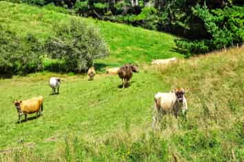 90-128 Makara Road, Inglewood