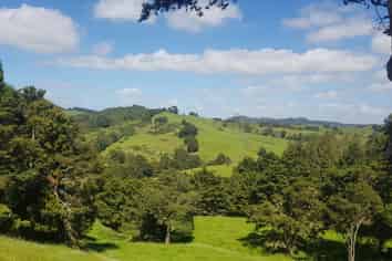 205 Central Road, Mareretu