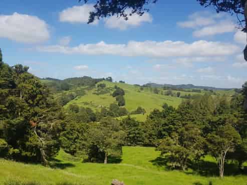 205 Central Road, Mareretu