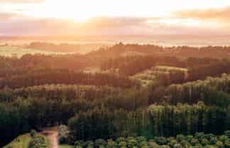 undefined - Address withheld