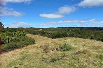 704 Whakamarama Road, Whakamarama
