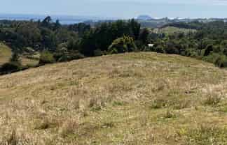 704 Whakamarama Road, Whakamarama