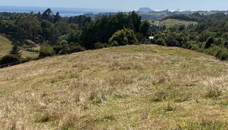 704 Whakamarama Road, Whakamarama