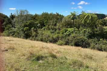 704 Whakamarama Road, Whakamarama