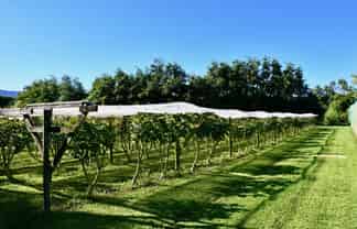 129 Oparara Road: Bakers Creek Orchard, 