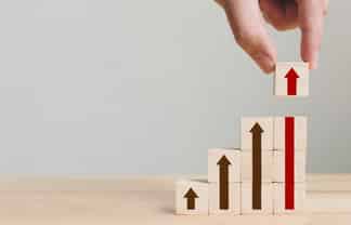 Import Sales and Distribution business 