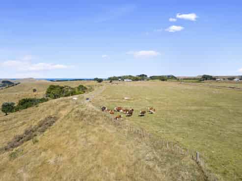 1033 Mangiti Road, Te Akau