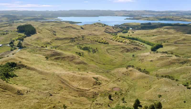 1033 Mangiti Road, Te Akau