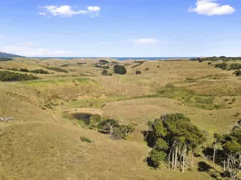 1033 Mangiti Road, Te Akau